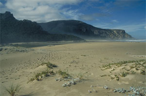 Strand, Garden Route