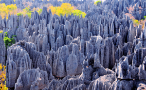 Madagaskar - Reisen - Tsingy de Bemaraha