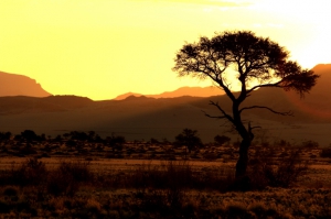 Namibia Safaris: Landschaft