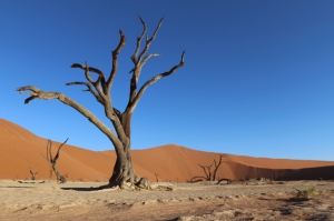 Sossusvlei - Namibia Safari-Reise