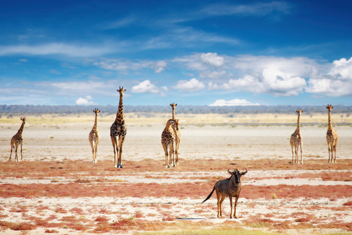 Waterberg Plateau Park in Namibia