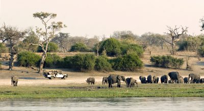  Rundreise durchs Südliche Afrika - Namibia Suedafrika Botswana Rundreise - Elefantenherde - Okavango Fluss - Botswana