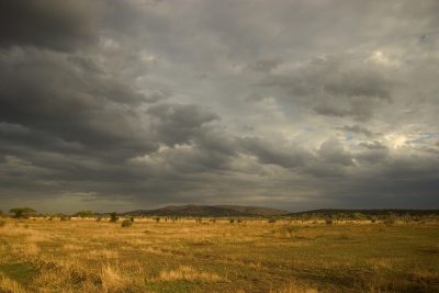 Gewitterwetter - Serengeti Nationa Park - Tansania