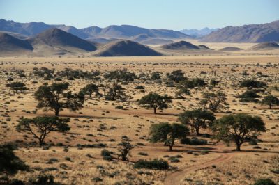 Landschaft - Otavi Berge - Namibia