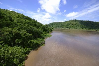 Luangwa Fluss - Sambia