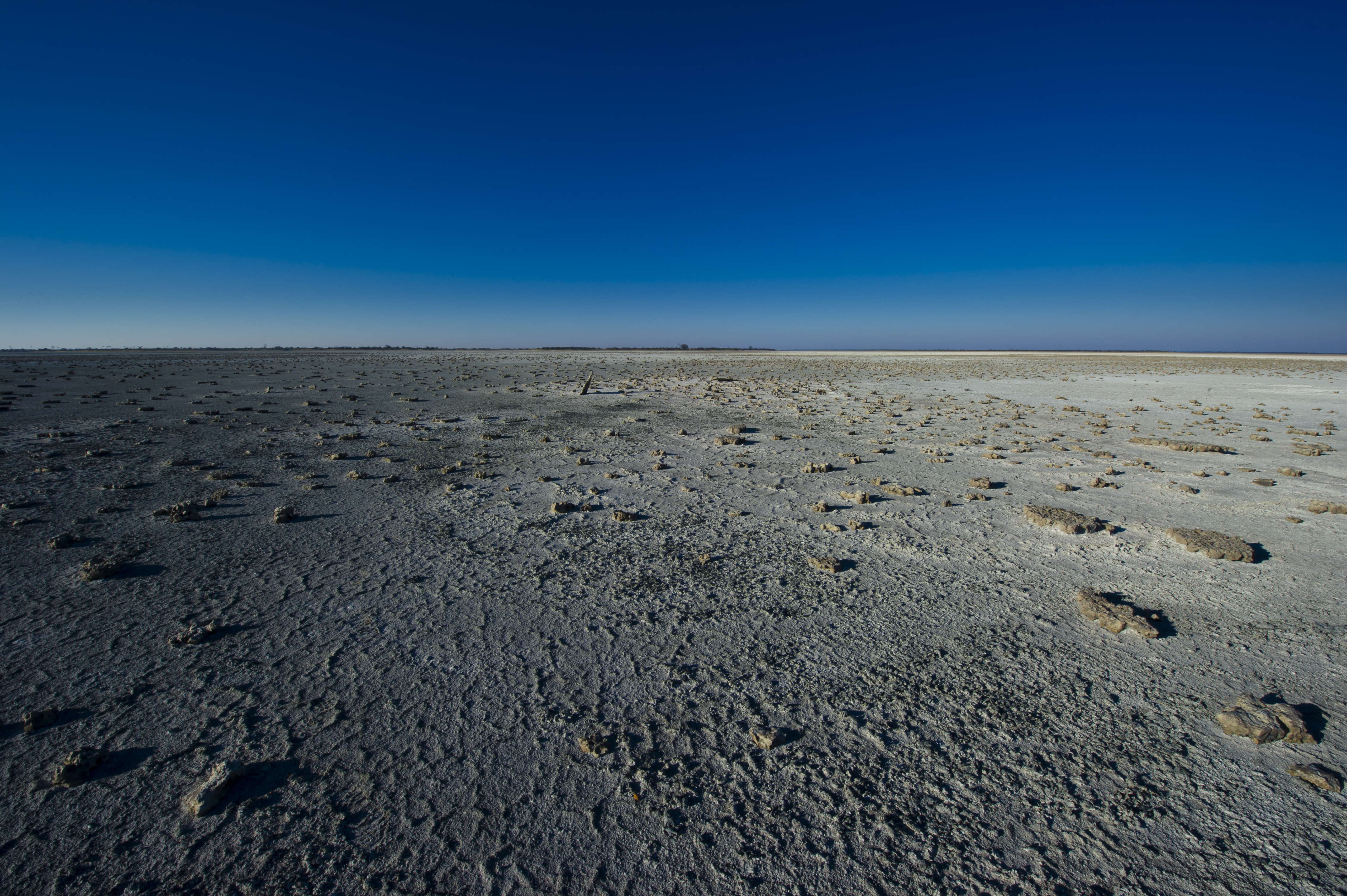 Botswana Selbstfahrerreise