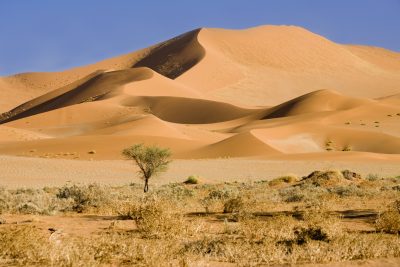 Sandduene - Namib Wueste - Namibia