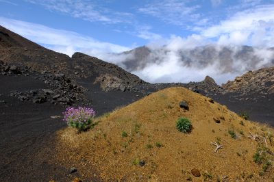 Gruppenreise Kapverdische Inseln - Vulkanlandschaft - Insel Fogo - Kap Verde