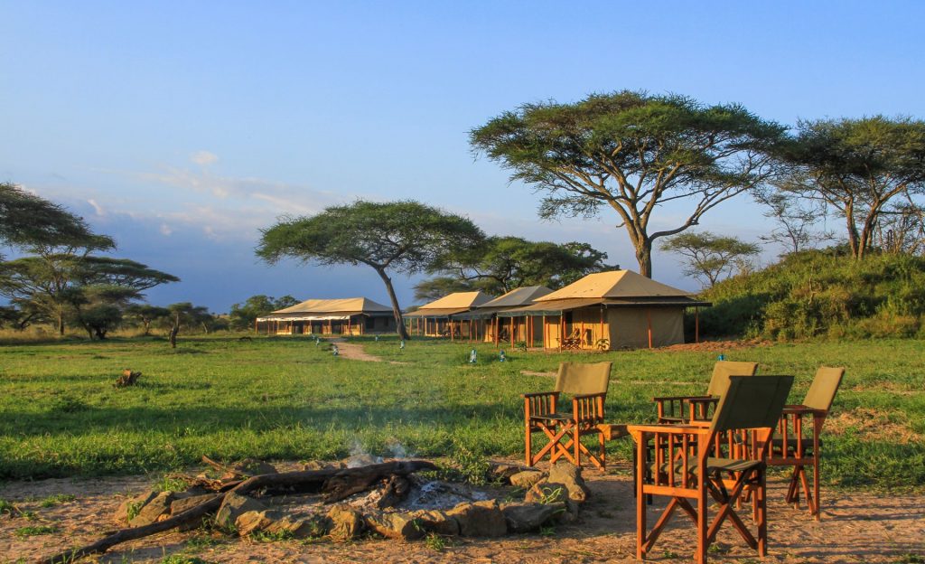 Zentrale Serengeti - Baobab Camp