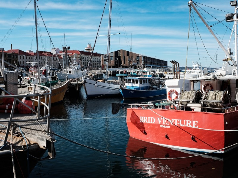 Sullivans Cove, Hobart