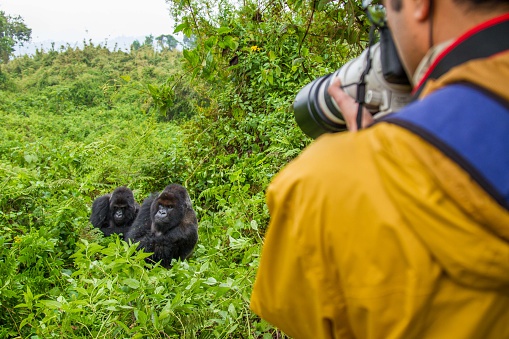 ruanda_berggorillas_fotograf_rundreise-1