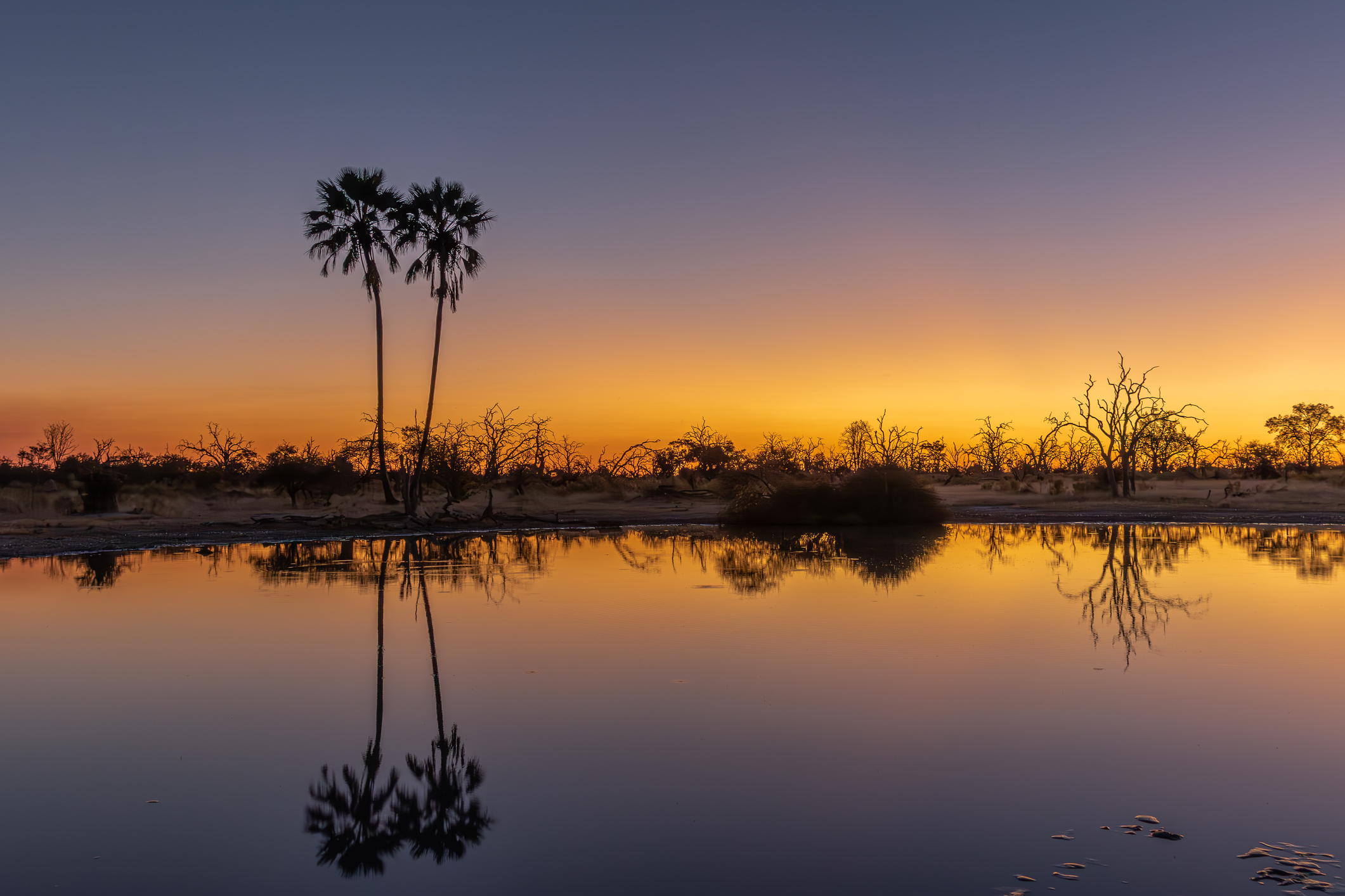 Elefanten am Chobe River im Chobe Nationalpark