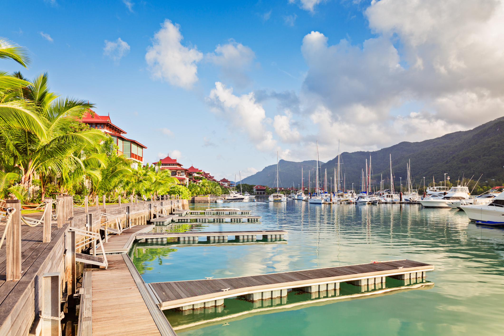 Tropische Landschaft auf Mahé während einer Seychellen Reise