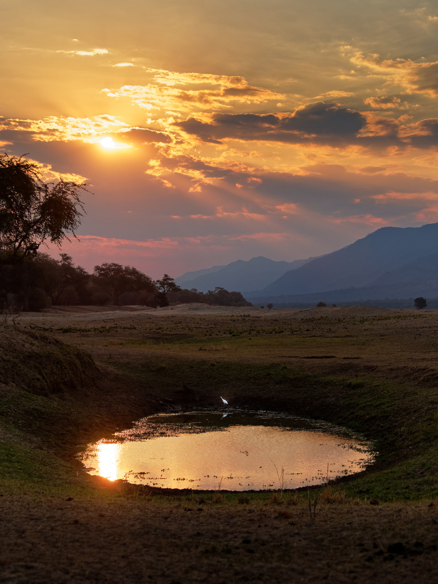 Mana Pools am Sambesi in Simbabwe