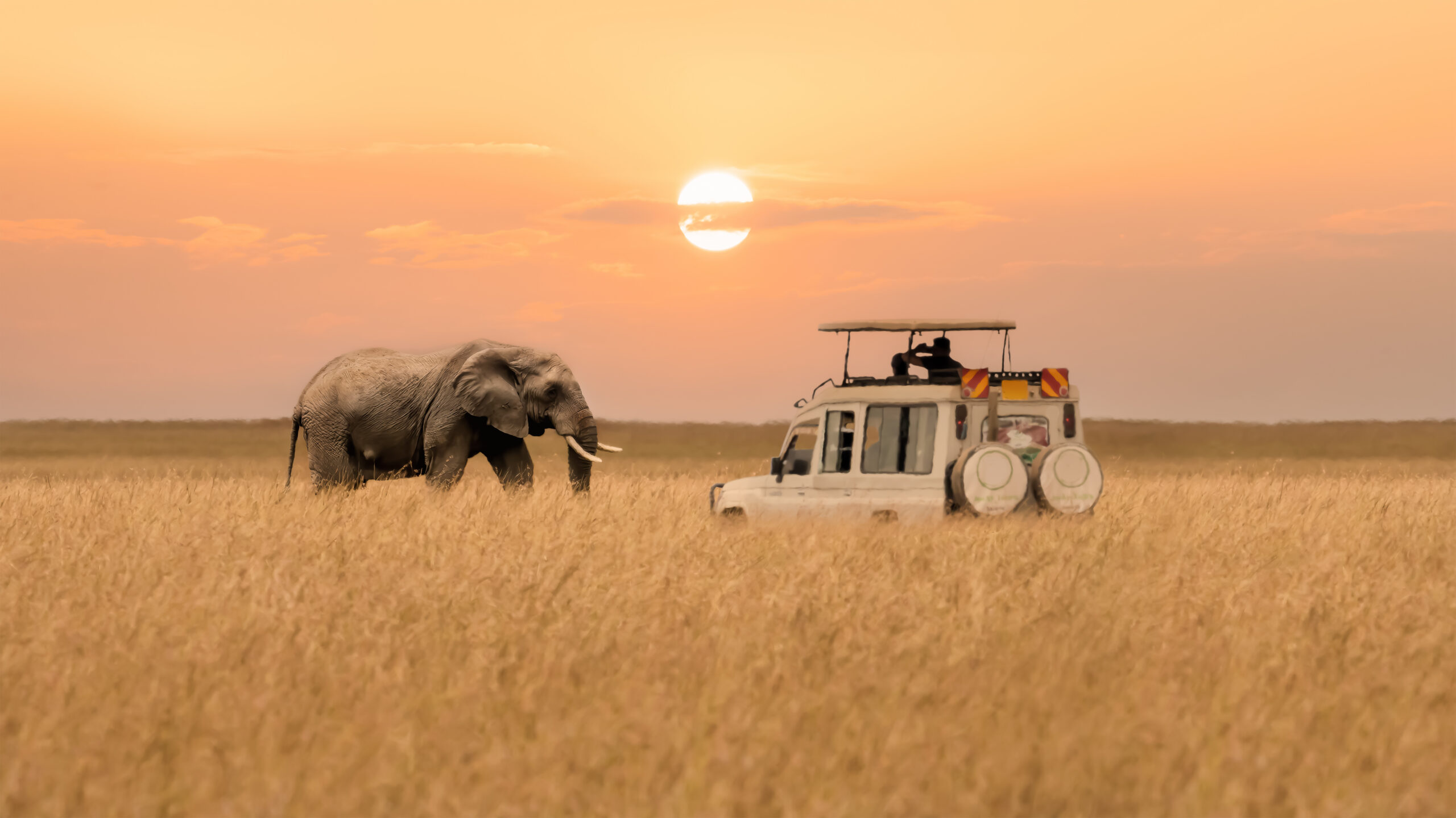 Elefant und Safari-Fahrzeug in der Masai Mara in Kenia