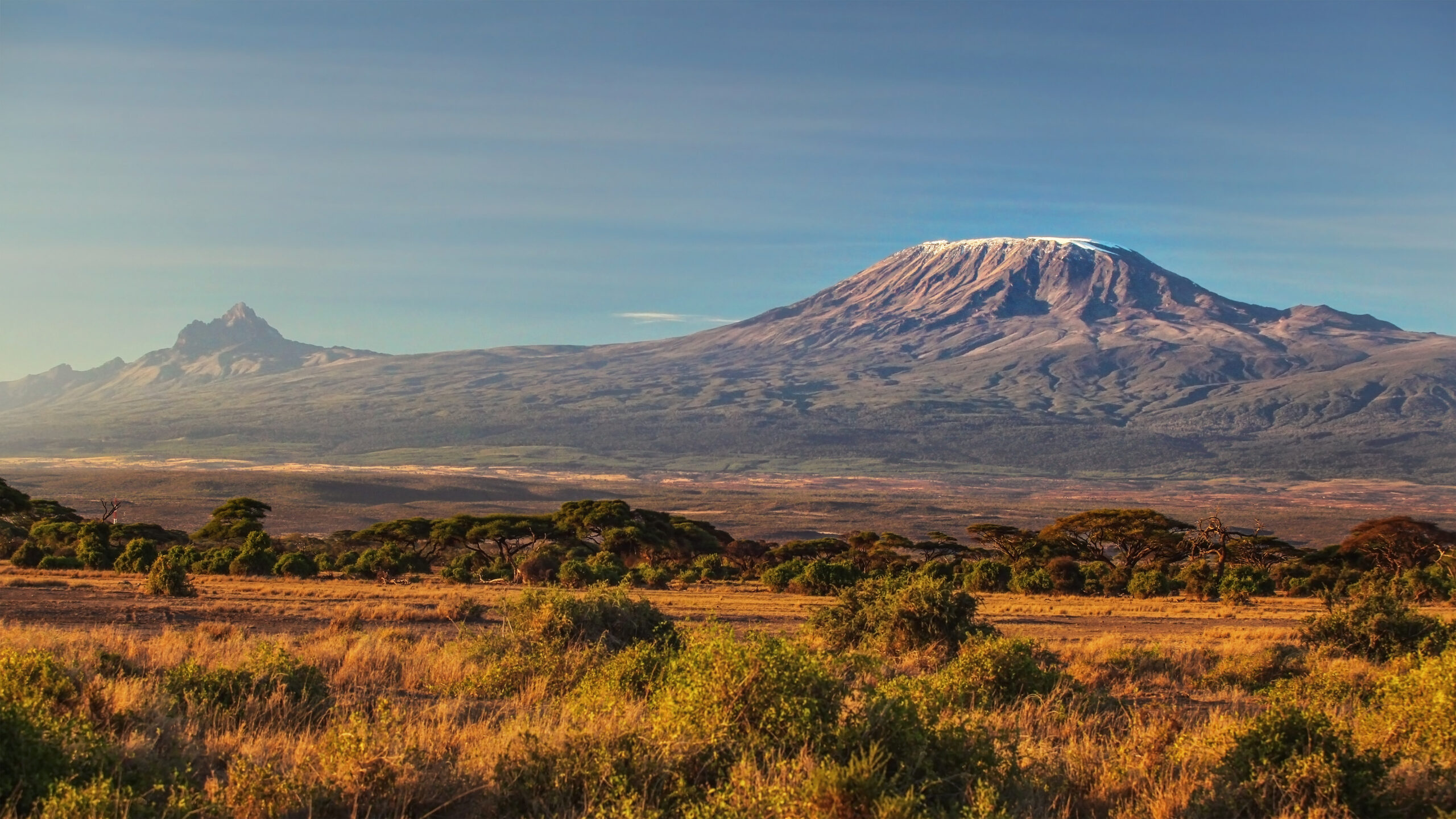 Safari-Landschaft in Kenia mit Blick auf den Kilimandscharo