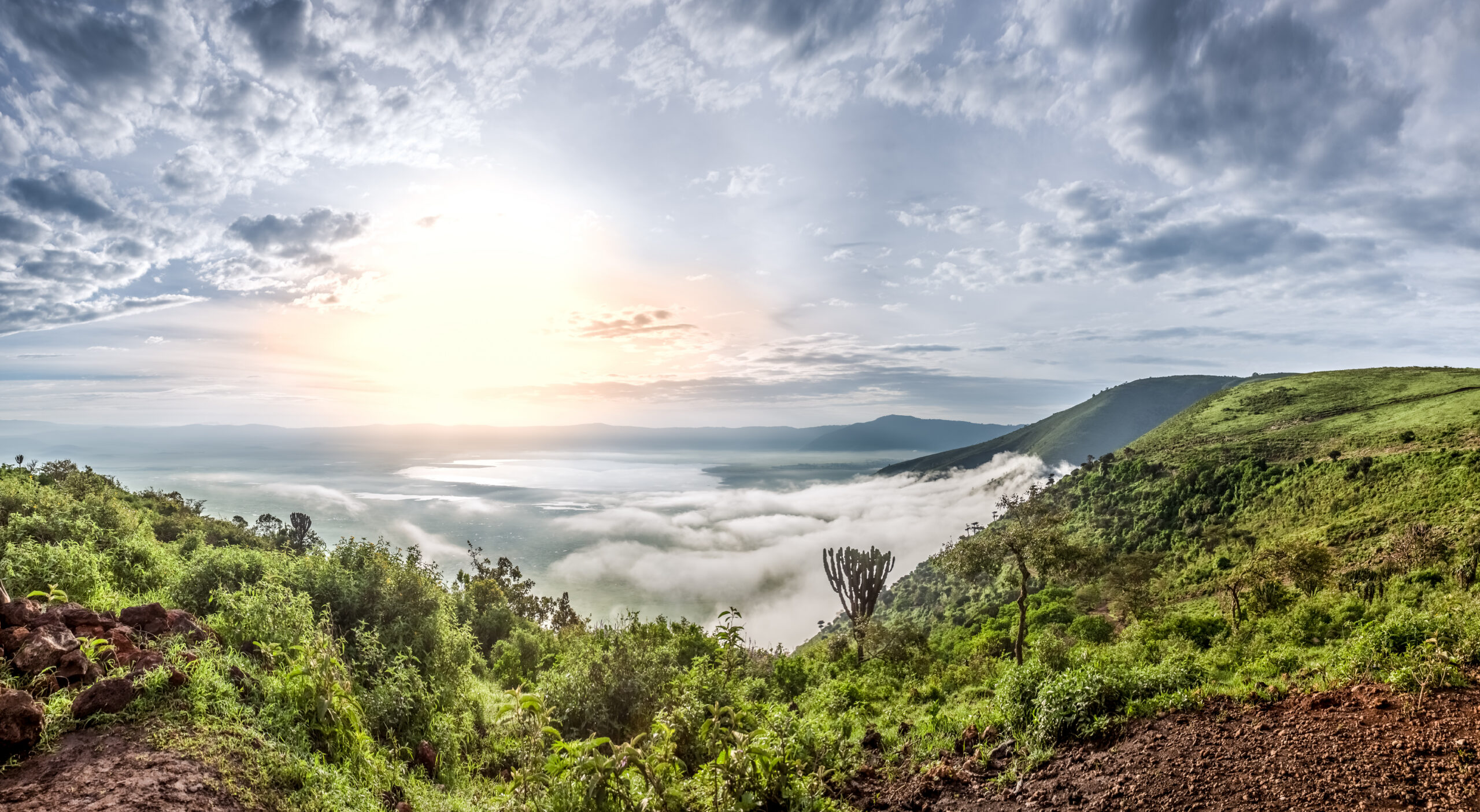Blick in den grünen Ngorongoro-Krater in Tansania