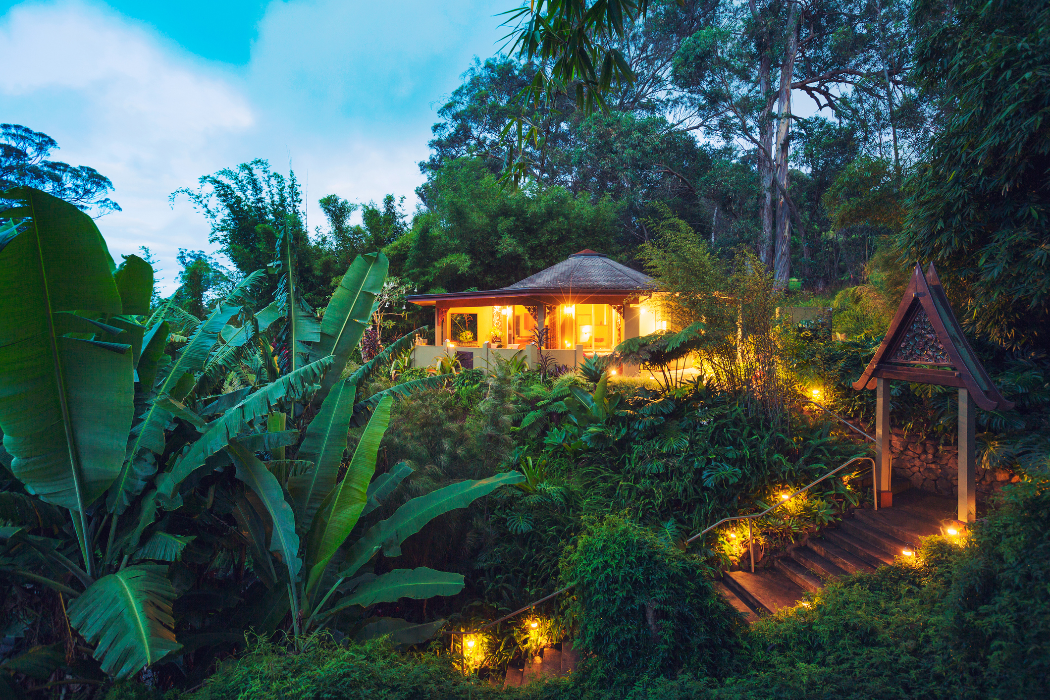 Dichter Regenwald im Nyungwe Nationalpark in Ruanda