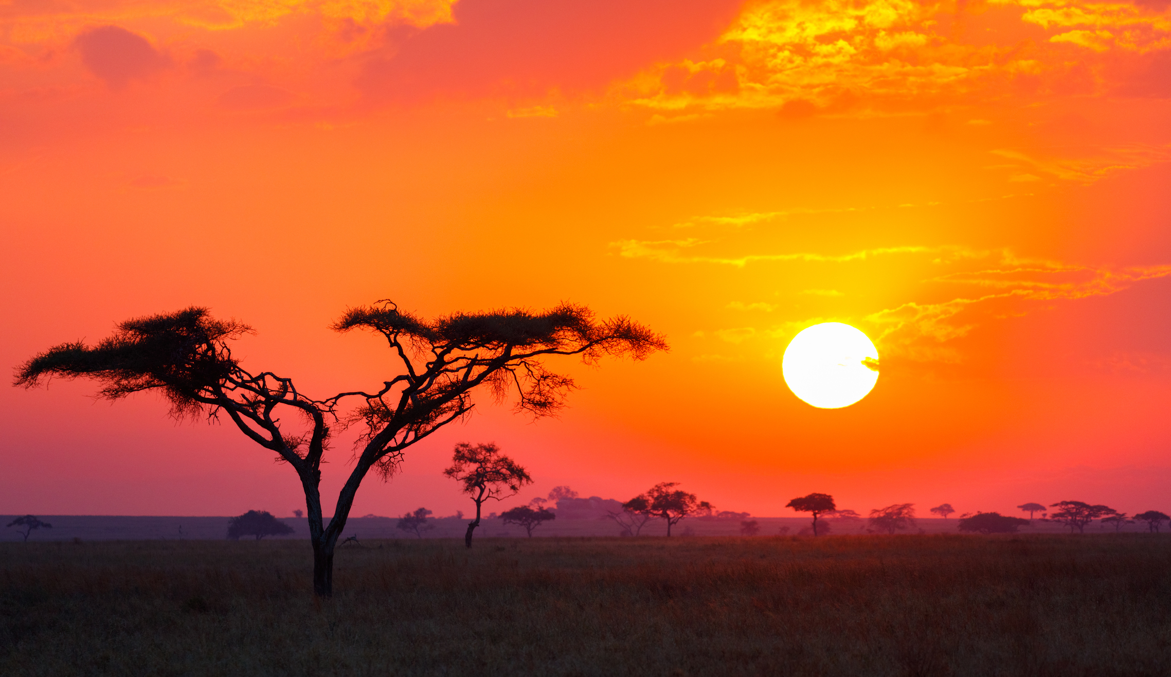 Afrika Erlebnisreisen