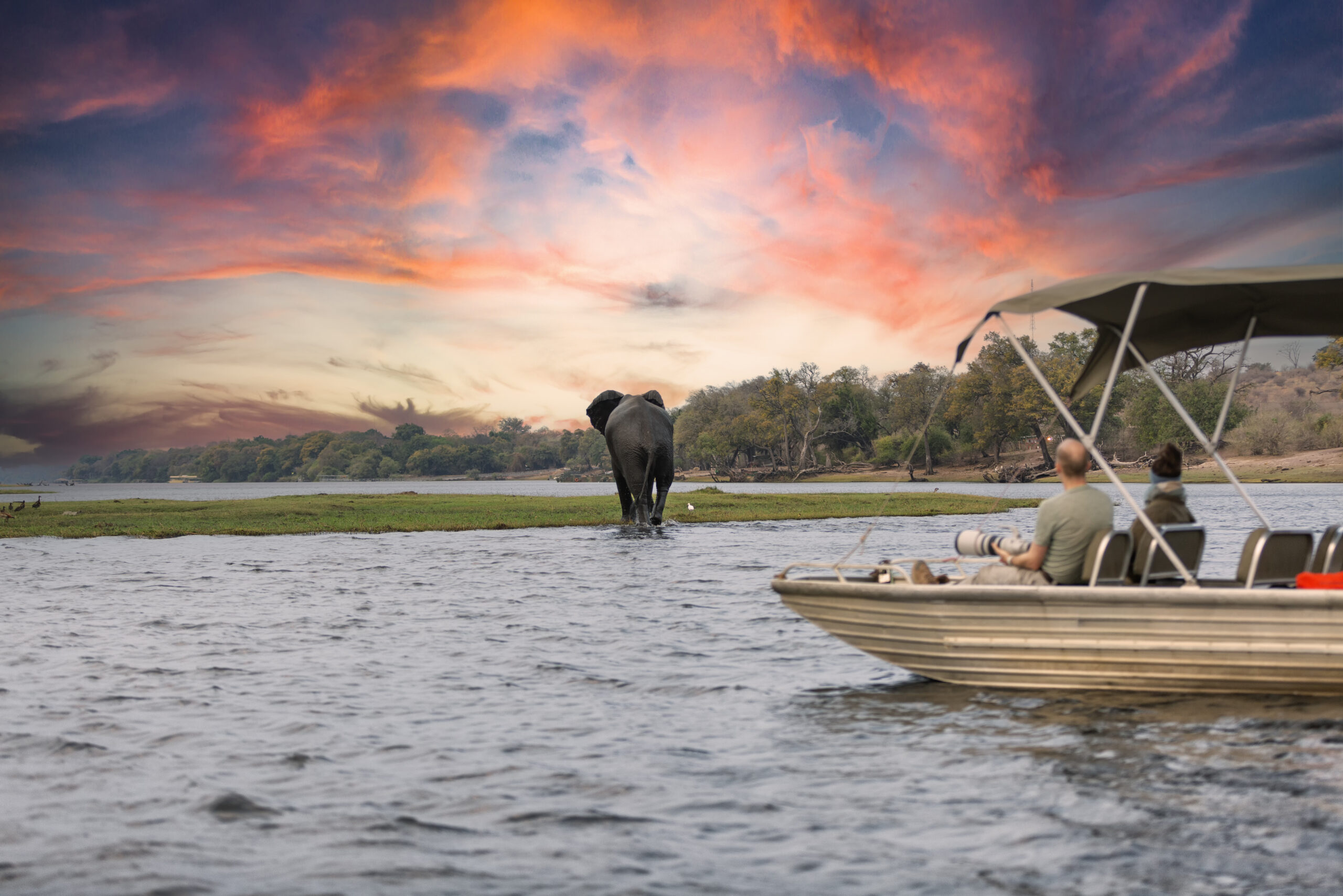 Elefanten am Chobe-Fluss während einer Bootssafari in Botswana