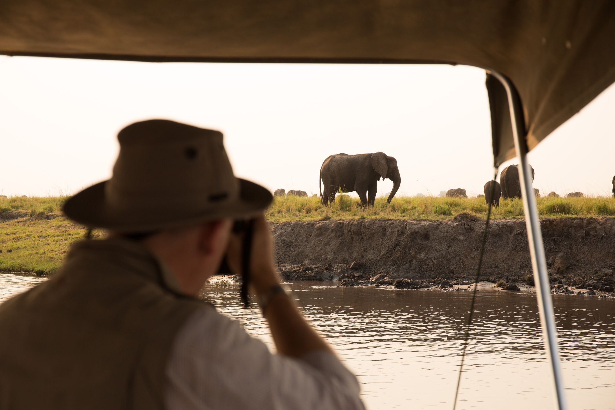 Fotograf beobachtet Elefanten während einer Bootssafari am Chobe-Fluss