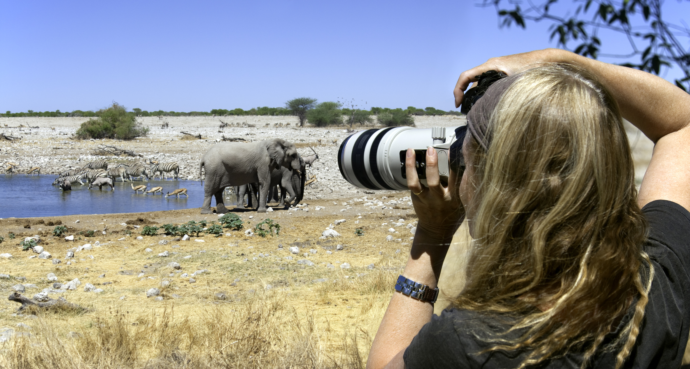 Fotografin beobachtet Elefanten an einem Wasserloch