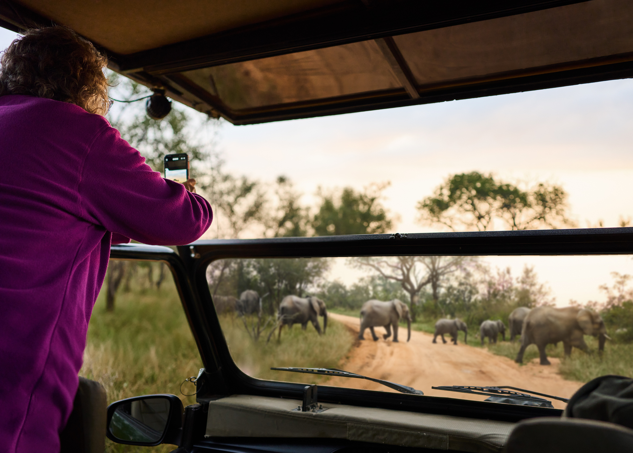 Reisende fotografiert Elefanten während einer Selbstfahrer-Safari in Südafrika