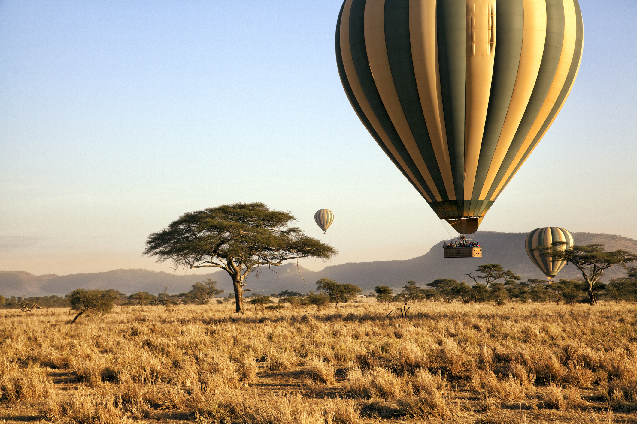 Heißluftballon über der Serengeti