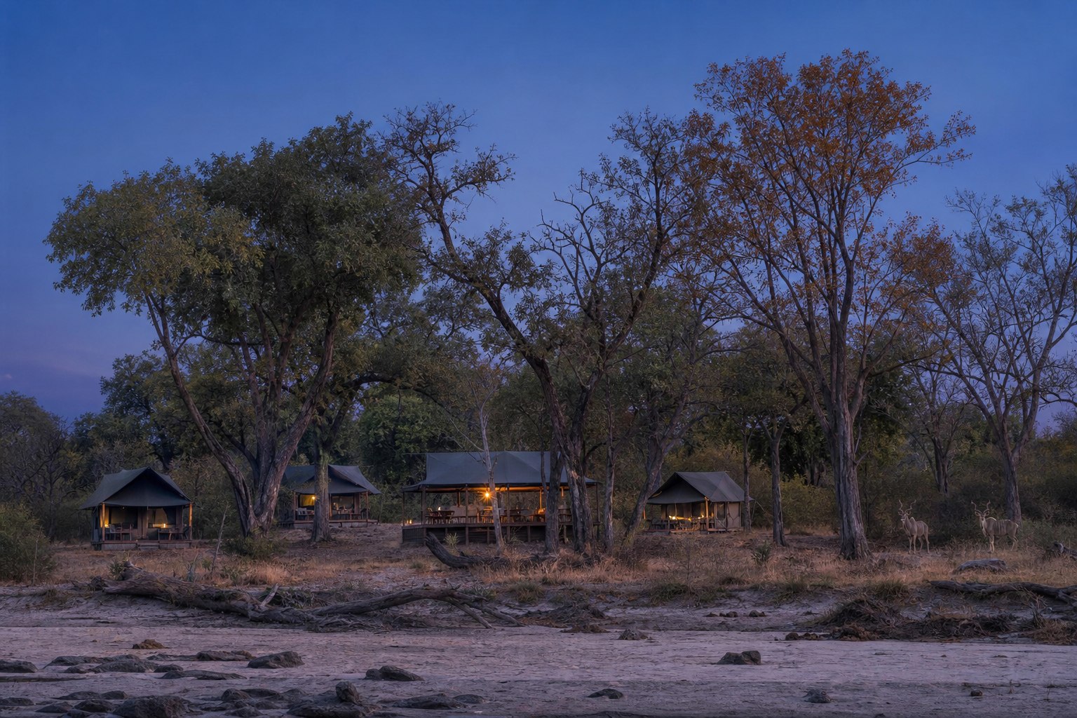 Kleines weitläufiges Zeltcamp in abgelegener afrikanischer Wildnis bei Tagesanbruch